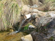 Articulo Cingolani
