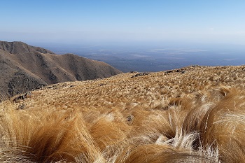 Sierras y pastizales de Córdoba