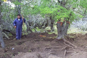 Articulo Argarañaz