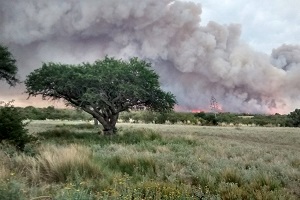 Articulo Cavallero