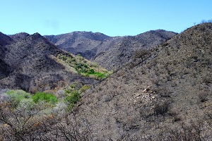 Articulo Fernandez
