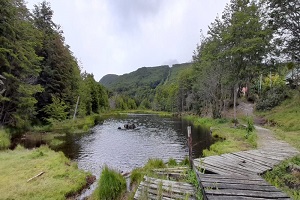 Articulo Fuentes
