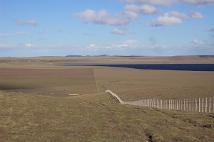 Articulo Ormaechea
