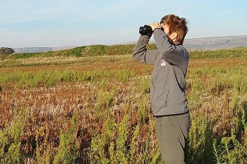 Observación de aves