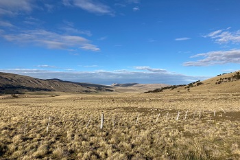 Estepa patagónica
