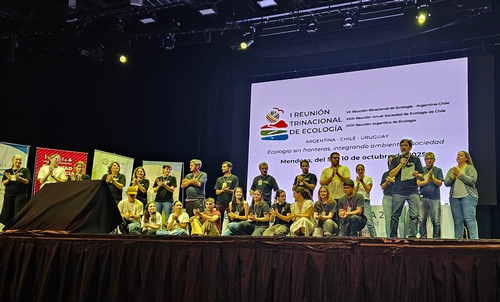 Organizadores RAE 2025